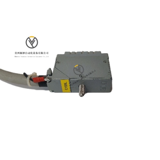 TRICONEX 4000103-513 (2).jpeg