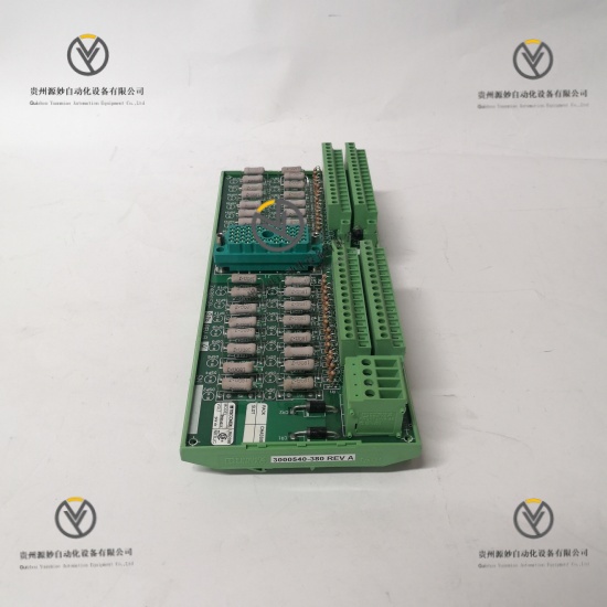 TRICONEX 9566-8XX (3).jpg