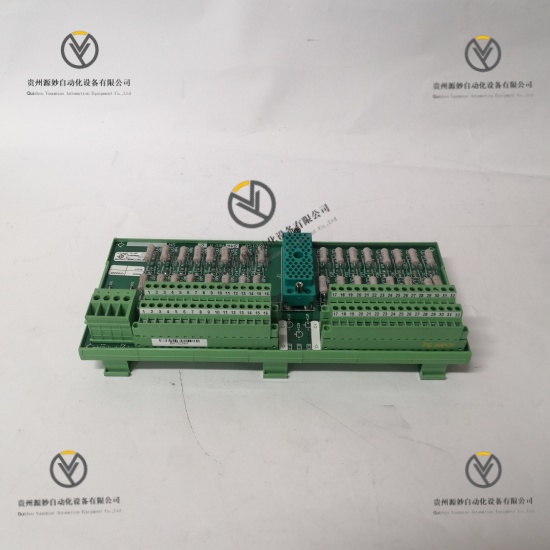 TRICONEX 9566-8XX (4).jpg