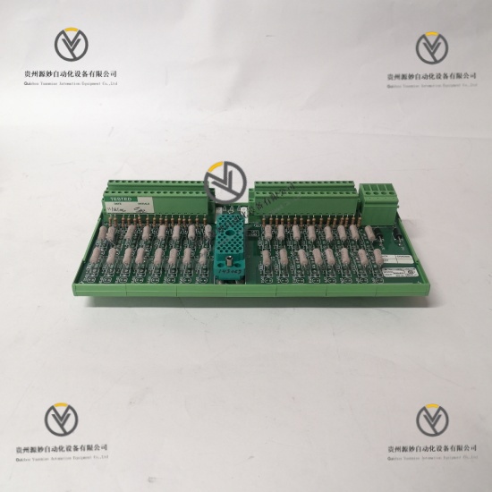 TRICONEX 9566-8XX (2).jpg