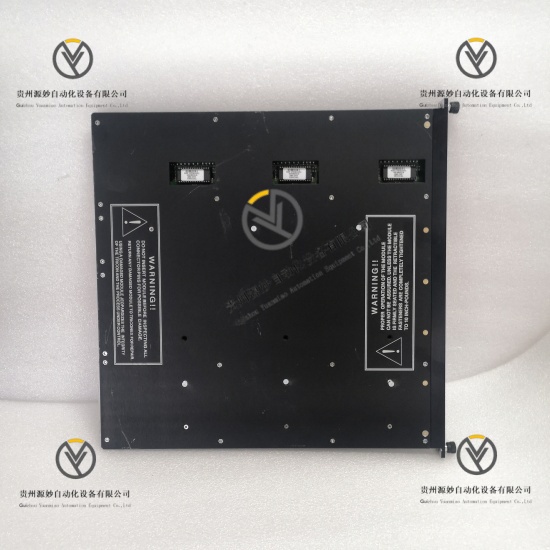 TRICONEX 3806E (3).jpg