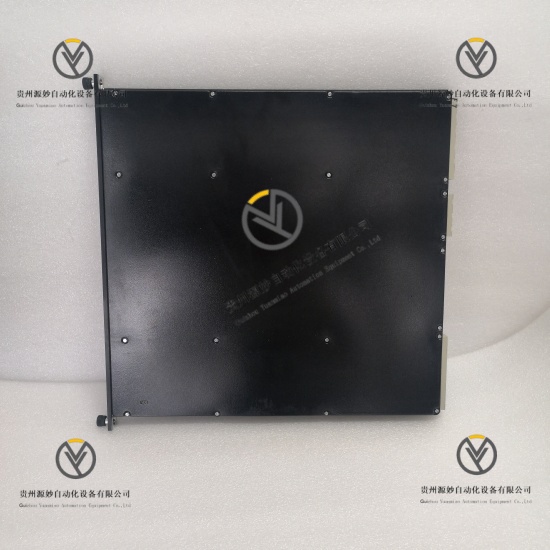 TRICONEX 3806E (2).jpg