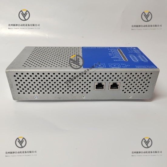 Bently Nevada 60M100-00 (3).jpg