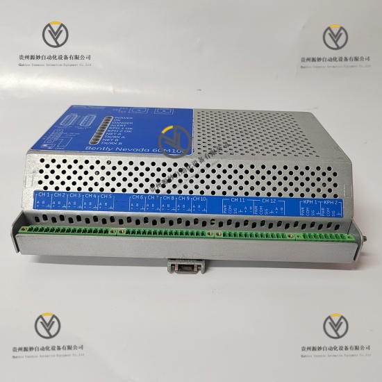 Bently Nevada 60M100-00 (2).jpg