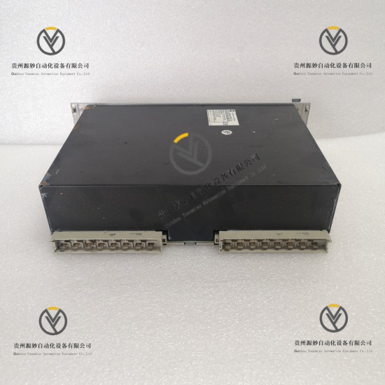 VIBRO-METER VM600 RPS6U 200-582-200-011 (2).jpg