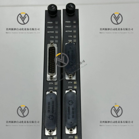 TRICONEX 4107 (4).jpg