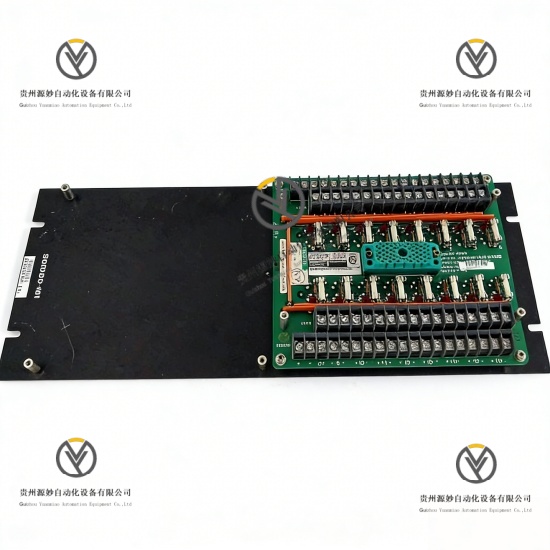 TRICONEX 2651 (3).jpg