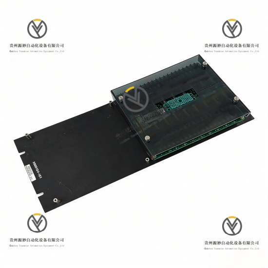 TRICONEX 2651 (2).jpg