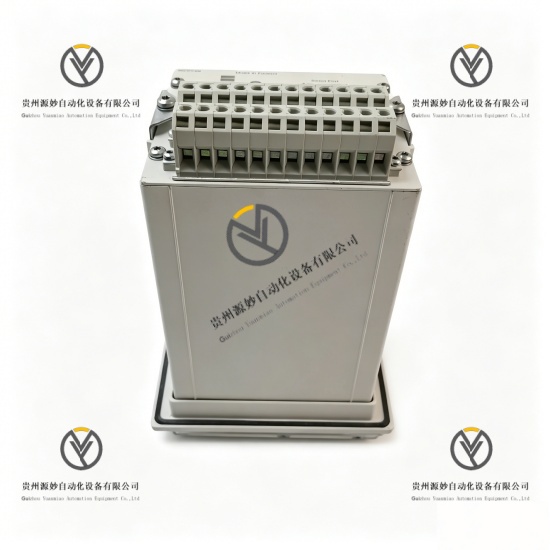 ABB SPAU130C-AA (4).jpg