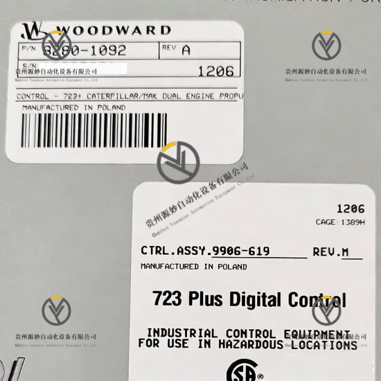 WOODWARD 9906-619 8280-1092 (2).jpg