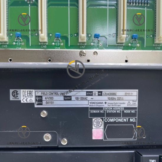 YOKOGAWA AFV30D-S41151 (2).jpg