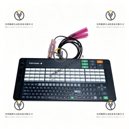 YOKOGAWA AIP830-101 S2.jpg