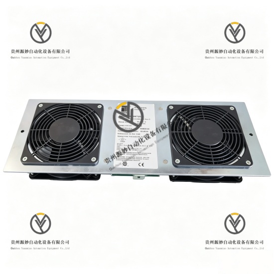 Honeywell 51303940-150Rittal 9967295.jpg
