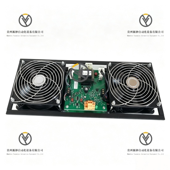 Honeywell 51303940-150Rittal 9967295 (3).jpg