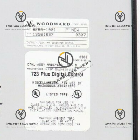 WOODWARD 8280-1001 9906-619 (3).jpg