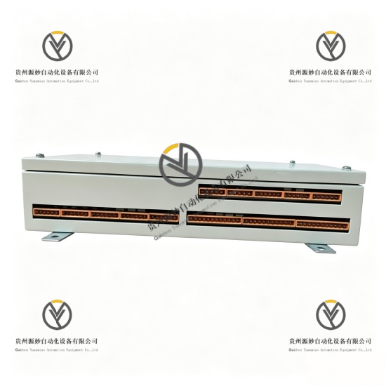 ABB UNS3670A-Z V2 HIEE205011R0002 (2).jpg