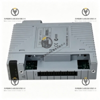 <strong>YOKOGAWA AAT141-S00  输入模块</strong>