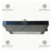 <strong>Ics Triplex T3411 监控型数字输入模块</strong>
