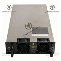 <strong>Ics Triplex T8232 电源供电模块</strong>