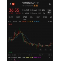 3400亿巨头子公司上市，再遭“灵魂拷问”