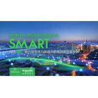 未来电网：解锁能源转型和脱碳的价值潜力